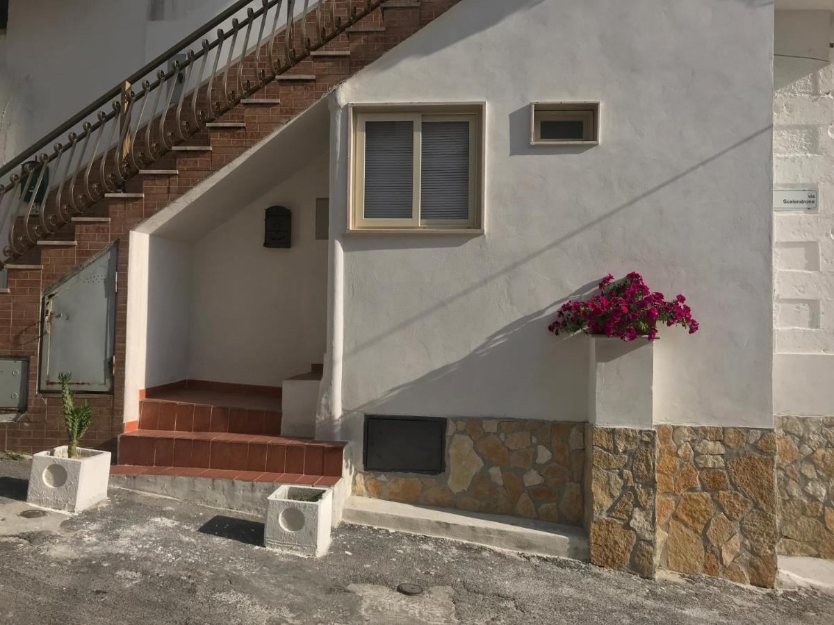 Casa Vacanze Flora Peschici Exteriör bild